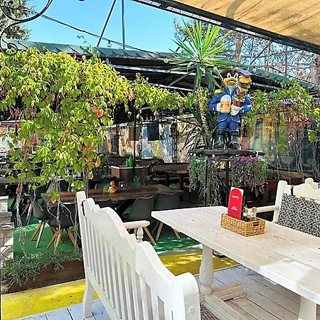 Готель Sunny Day Club